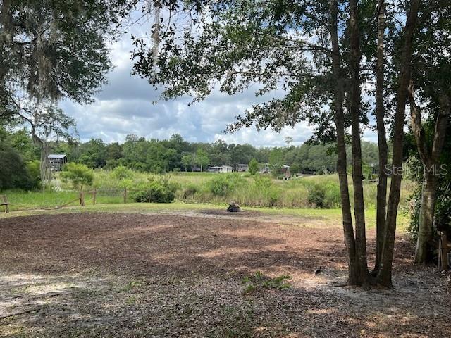Ne 241 Avenue, Salt Springs, FL 32134 - photo 5