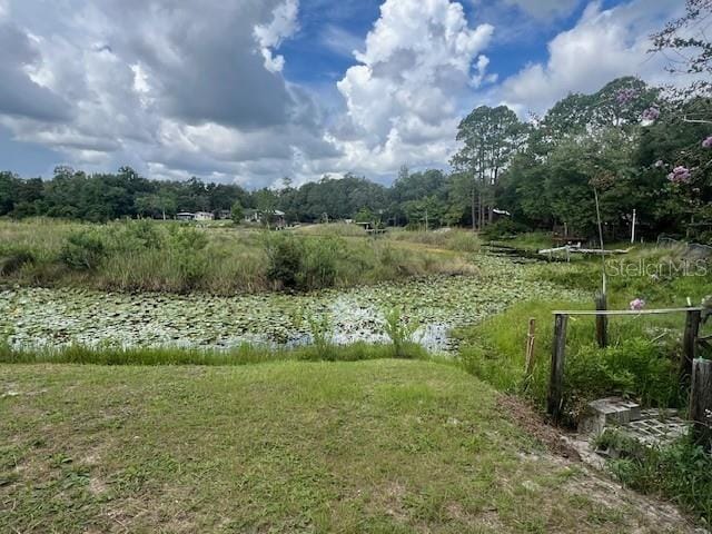Ne 241 Avenue, Salt Springs, FL 32134 - photo 6
