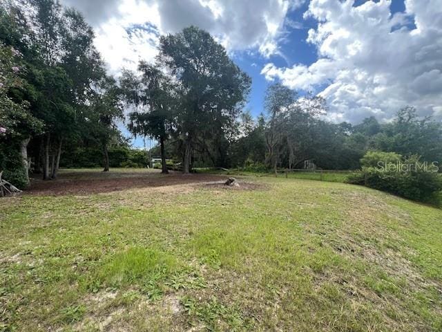 Ne 241 Avenue, Salt Springs, FL 32134 - photo 7
