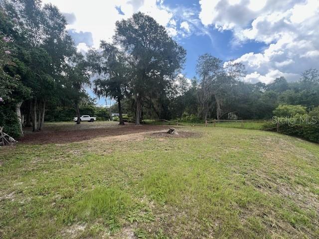 Ne 241 Avenue, Salt Springs, FL 32134 - photo 8