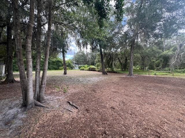 Ne 241 Avenue, Salt Springs, FL 32134 - photo 9