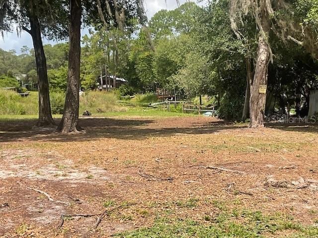 Ne 241 Avenue, Salt Springs, FL 32134 - photo 11