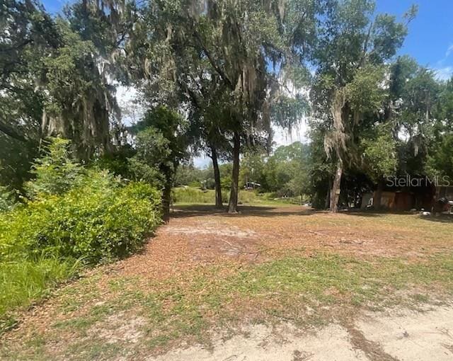 Ne 241 Avenue, Salt Springs, FL 32134 - photo 12