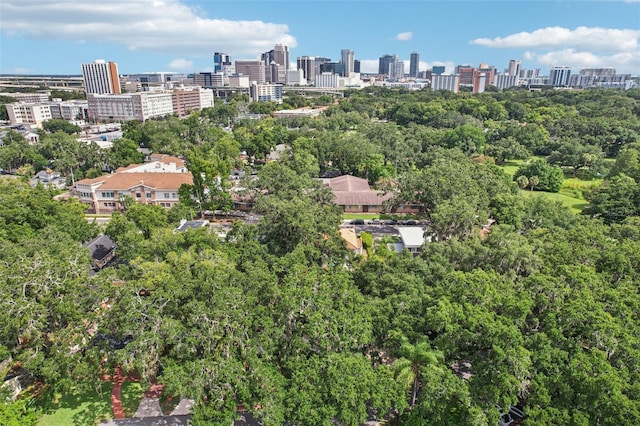 213 Phillips Pl, Orlando, FL 32806 - bird's eye view of skyline