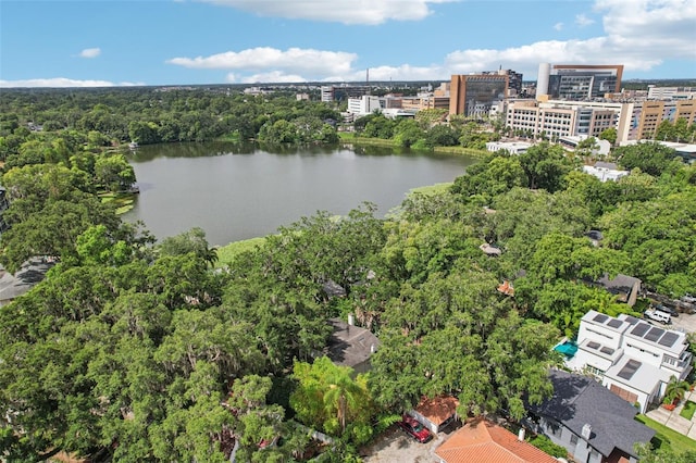 213 Phillips Pl, Orlando, FL 32806 - aerial view of a large body of water