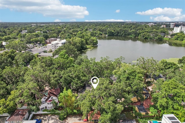 213 Phillips Pl, Orlando, FL 32806 - aerial view of a forest and a nearby body of water