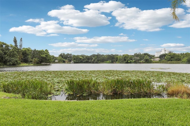 213 Phillips Pl, Orlando, FL 32806 - water view