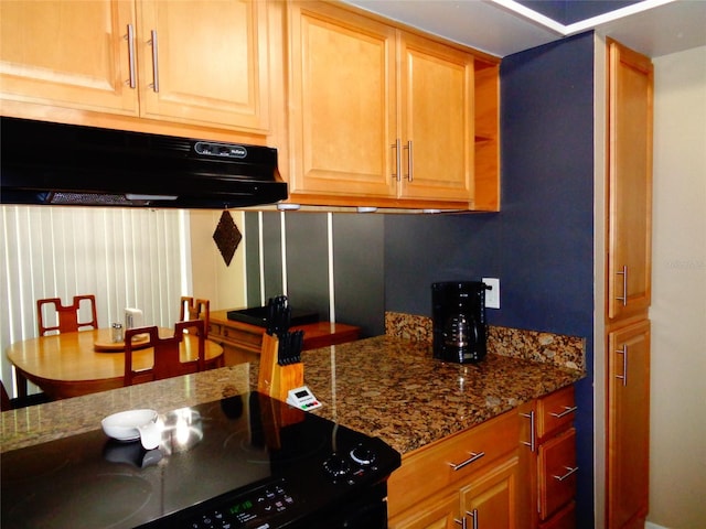1935 Conway Rd Unit M1, Orlando, FL 32812 - kitchen with under cabinet range hood, stove, and dark stone countertops