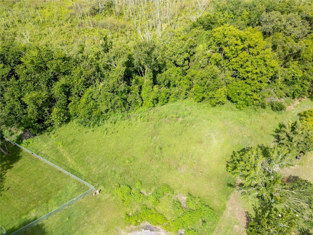 Nest Ct, Grand Island, FL 32735