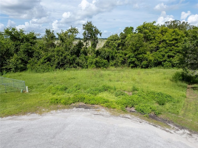 Nest Ct, Grand Island, FL 32735