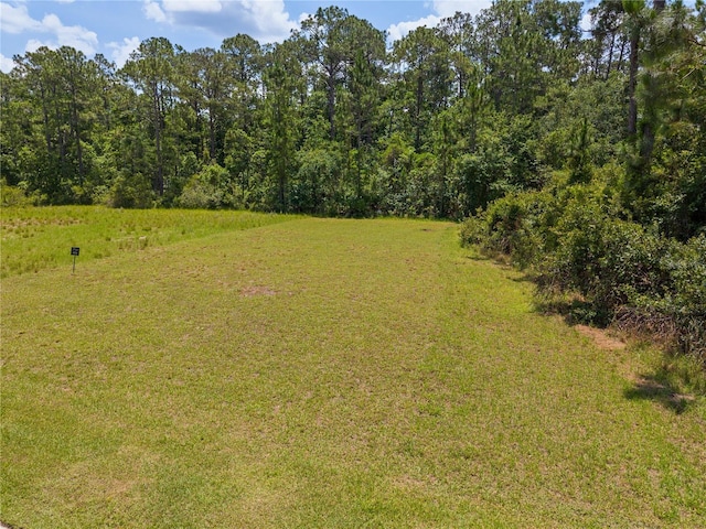 7145 Oak Glen Trl, Harmony, FL 34773 - photo 2