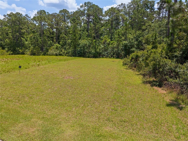 7145 Oak Glen Trl, Harmony, FL 34773 - photo 3