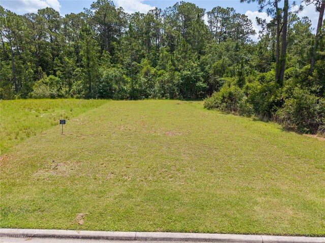 7145 Oak Glen Trl, Harmony, FL 34773 - photo 4