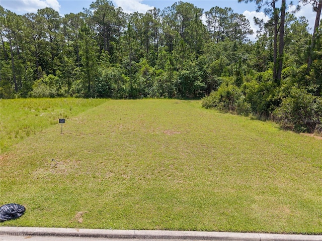 7145 Oak Glen Trl, Harmony, FL 34773 - photo 5