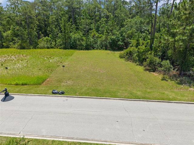 7145 Oak Glen Trl, Harmony, FL 34773 - photo 7