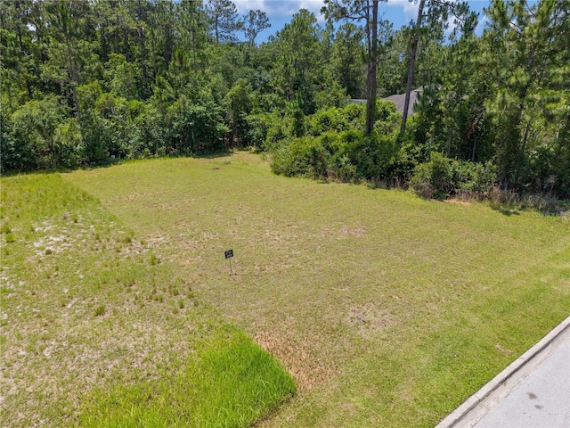 7145 Oak Glen Trl, Harmony, FL 34773 - photo 10