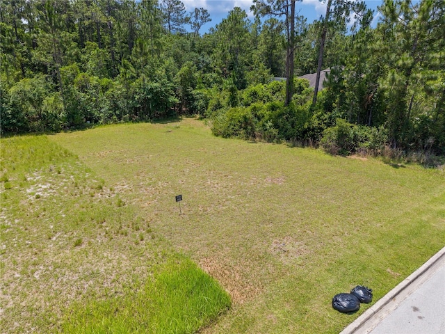 7145 Oak Glen Trl, Harmony, FL 34773 - photo 11