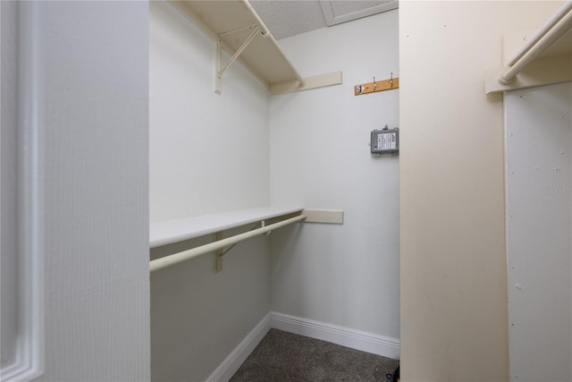 3700 Idlebrook Cir Unit 200, Casselberry, FL 32707 - spacious closet with dark colored carpet