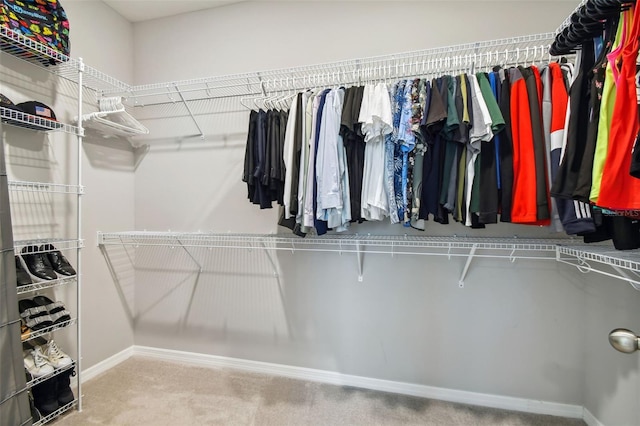 2433 Santa Vista Loop, Apopka, FL 32703 - walk in closet with carpet floors