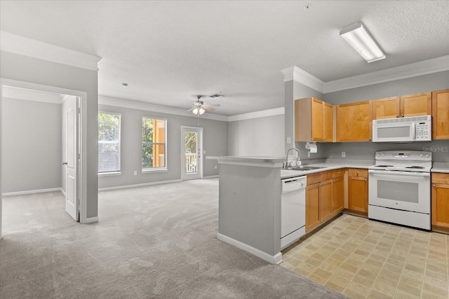 8842 Villa View Cir Unit 207, Orlando, FL 32821 - kitchen with white appliances, ornamental molding, a peninsula, a ceiling fan, and open floor plan