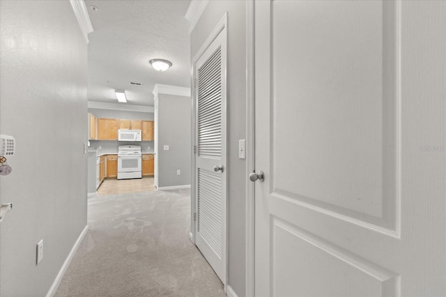 8842 Villa View Cir Unit 207, Orlando, FL 32821 - corridor featuring ornamental molding and light colored carpet
