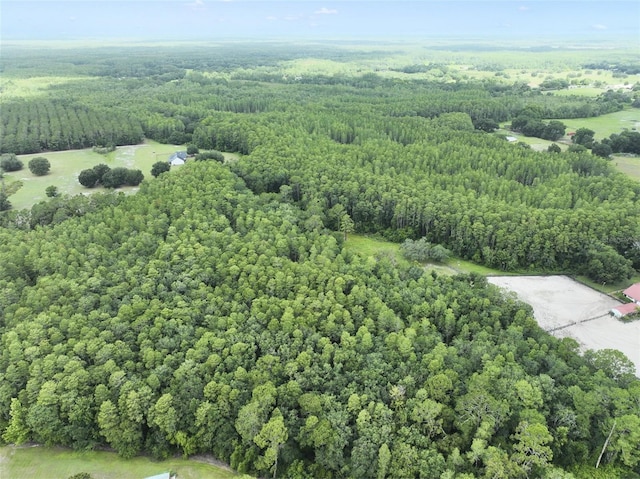 8449 Bay Lake Rd, Groveland, FL 34736