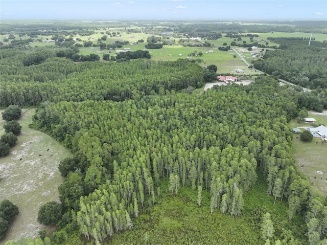 8449 Bay Lake Rd, Groveland, FL 34736