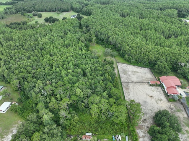 8449 Bay Lake Rd, Groveland, FL 34736
