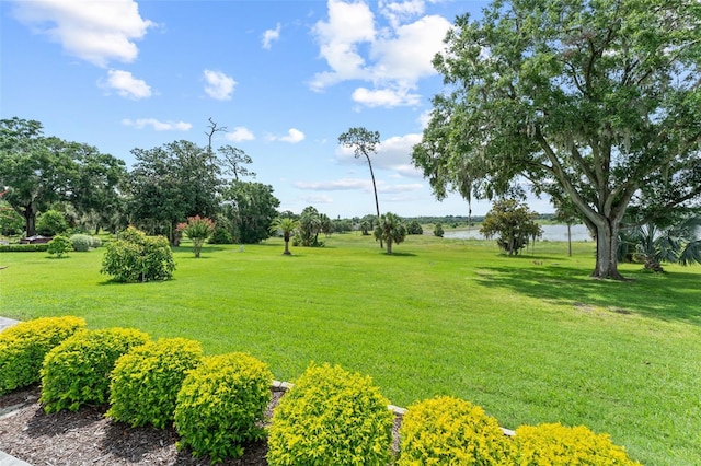 1193 Errol Pkwy, Apopka, FL 32712 - photo 47