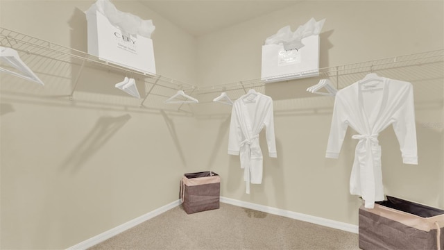 5650 Paddock Fence Ln, Apopka, FL 32712 - spacious closet featuring carpet flooring