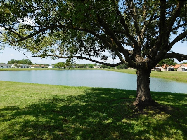 11201 Scenic View Ln, Orlando, FL 32821 - photo 7