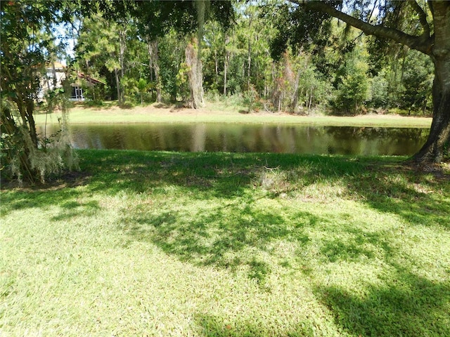 11201 Scenic View Ln, Orlando, FL 32821 - photo 8