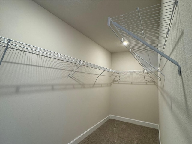 4113 Sagefield Dr, Harmony, FL 34773 - spacious closet with carpet flooring