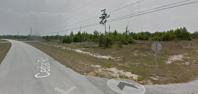 300 Begonia Ct, Kissimmee, FL 34759