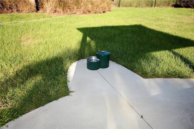 2338 Clemblue Rd, Clermont, FL 34715 - view of green lawn
