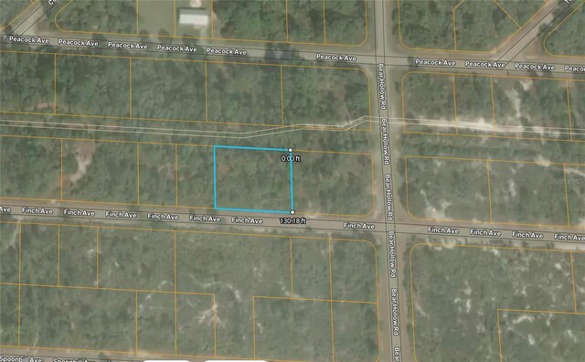 3507 Finch Ave, Lake Placid, FL 33852 - photo 1