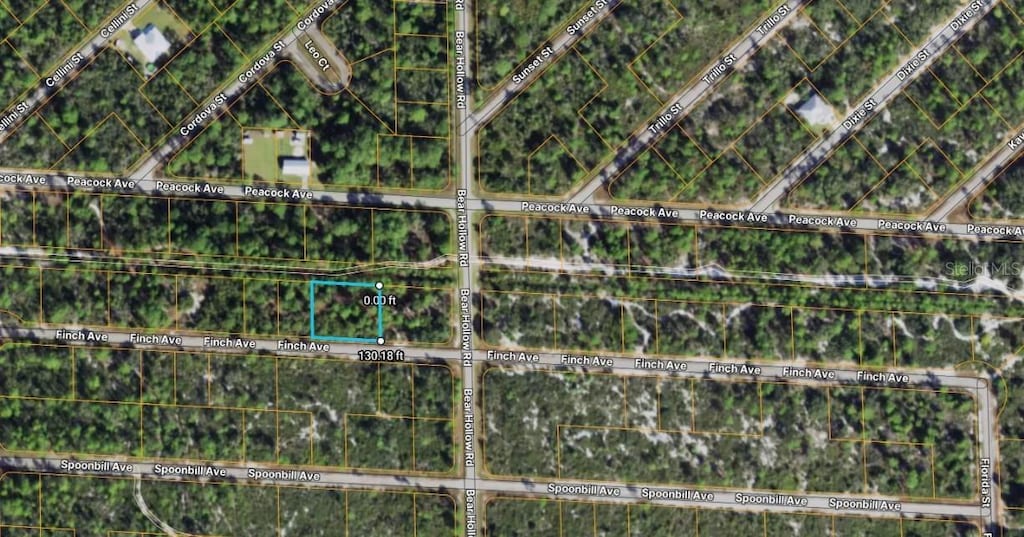 3507 Finch Ave, Lake Placid, FL 33852 - photo 2