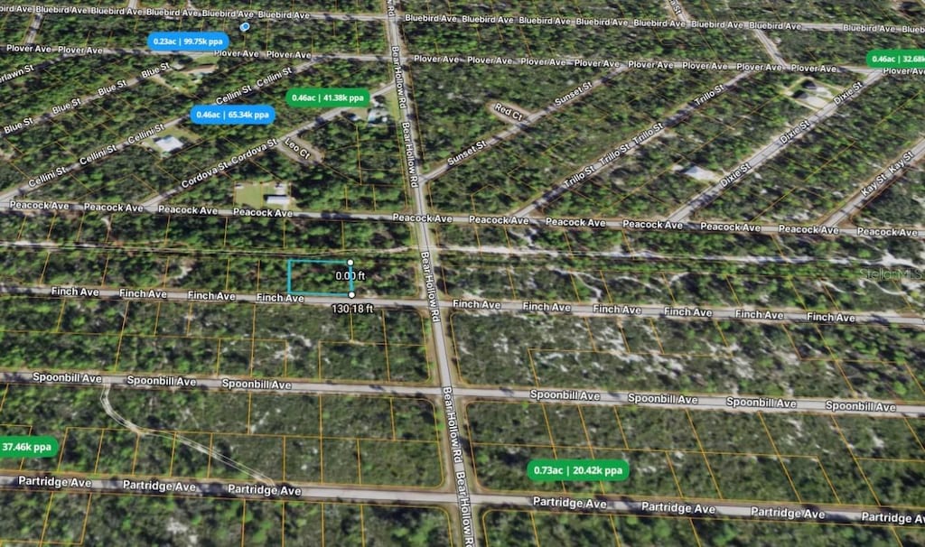 3507 Finch Ave, Lake Placid, FL 33852 - photo 3