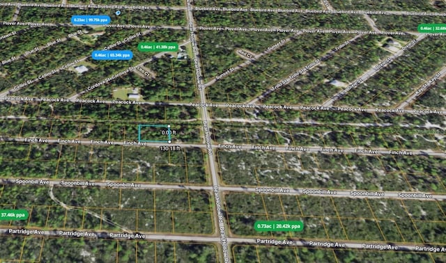 3507 Finch Ave, Lake Placid, FL 33852 - photo 3