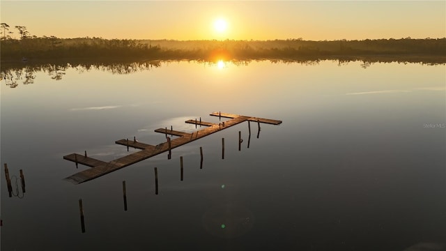 1041 Jaybee Ave, Davenport, FL 33897 - dock featuring a water view