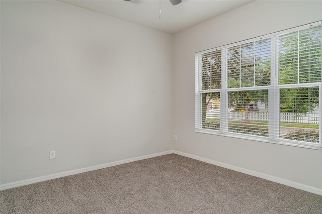 11307 Grand Park Ave, Riverview, FL 33578 - unfurnished room with carpet and ceiling fan