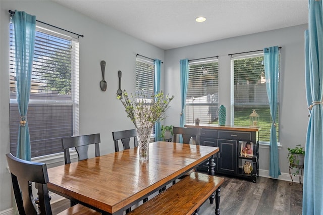 1005 Thunderhead Ln, Minneola, FL 34715 - dining space with dark wood-style flooring and recessed lighting