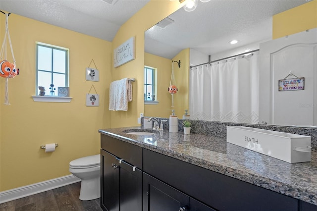 1005 Thunderhead Ln, Minneola, FL 34715 - bathroom featuring double vanity, wood finished floors, and a textured ceiling