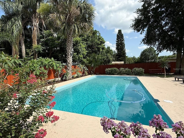 904 15th St NE, Winter Haven, FL 33881 - view of swimming pool with a fenced backyard