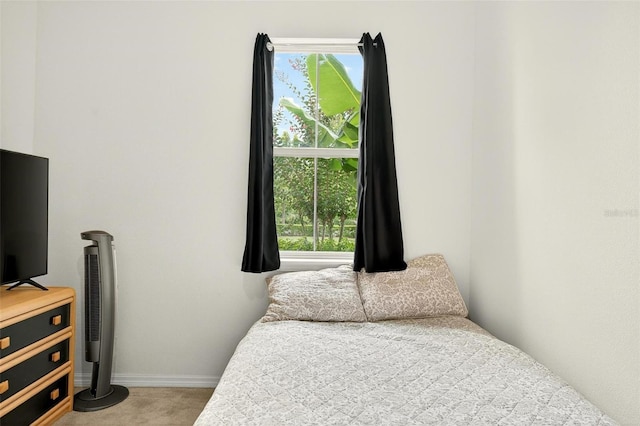 1559 Bayfront Park Aly, Winter Garden, FL 34787 - carpeted bedroom featuring baseboards