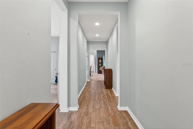 1559 Bayfront Park Aly, Winter Garden, FL 34787 - hall featuring wood finished floors, recessed lighting, and a textured wall