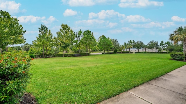 1559 Bayfront Park Aly, Winter Garden, FL 34787 - view of green lawn