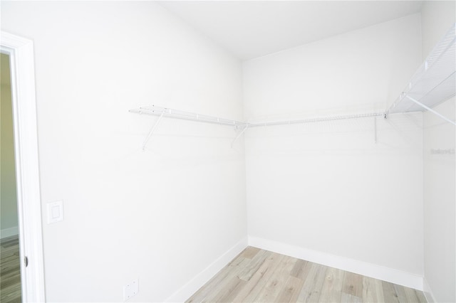 2011 W Tacoma Dr, Citrus Springs, FL 34434 - walk in closet with light wood-style flooring