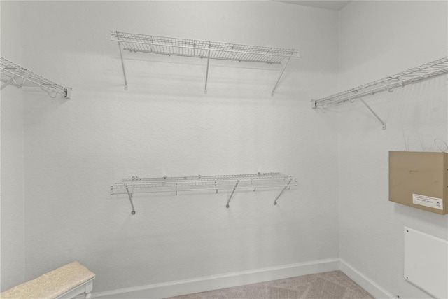 8362 Bella Tierra Ct Unit 10146, Davenport, FL 33896 - spacious closet featuring light carpet