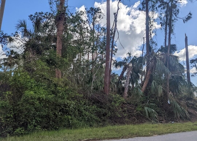 Talisman Ter, North Port, FL 34286 - photo 1